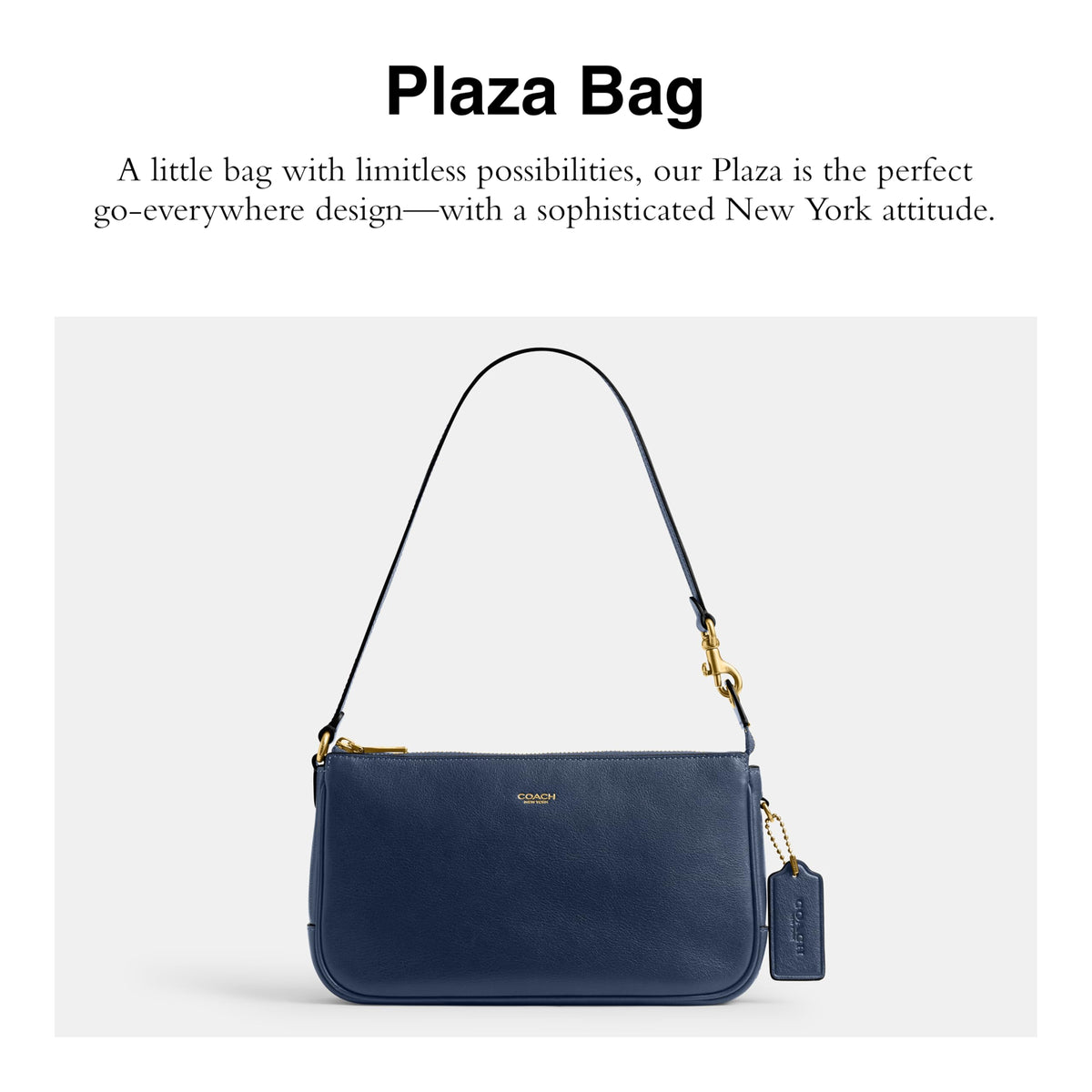 COACH Plaza Bag