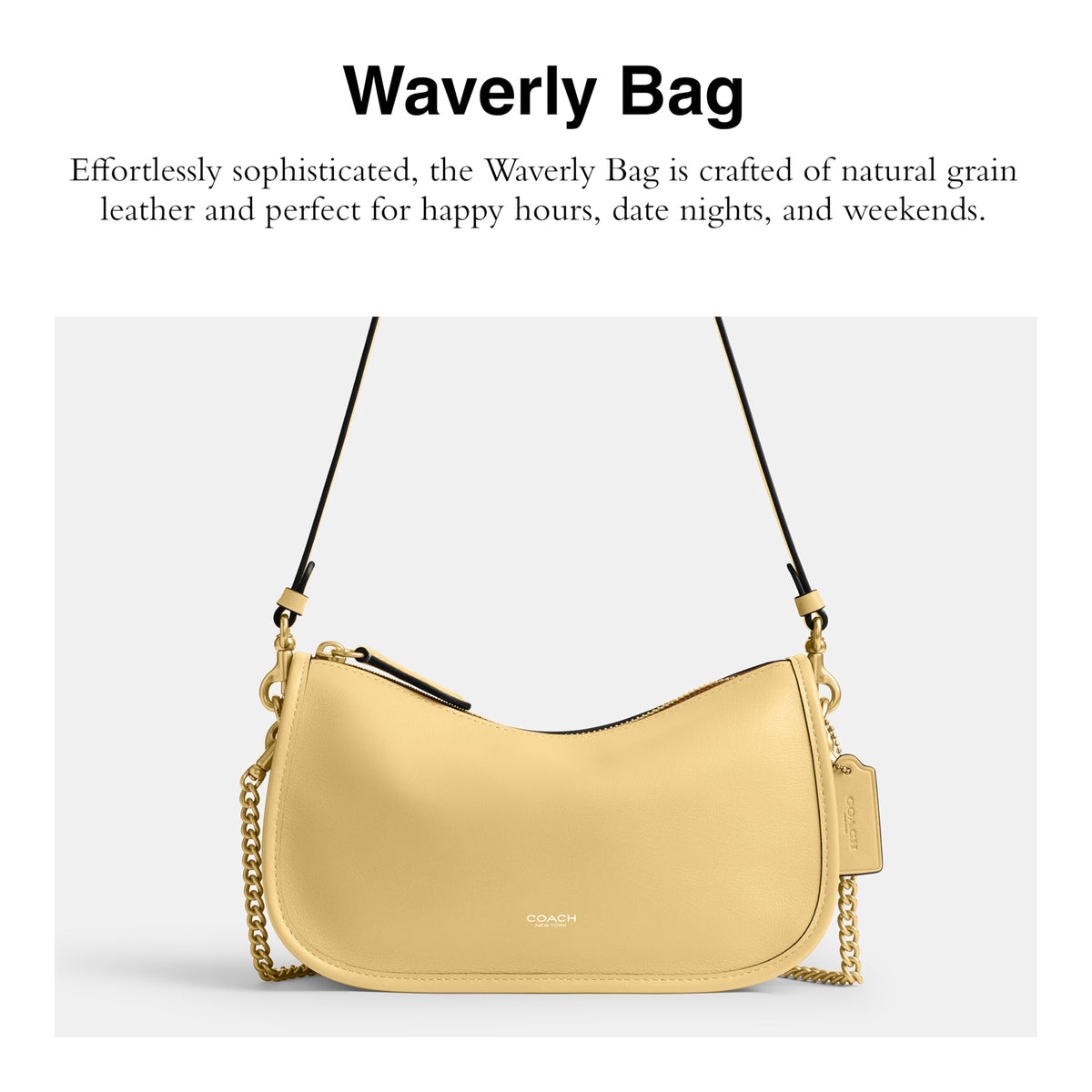 Coach Waverly Bag