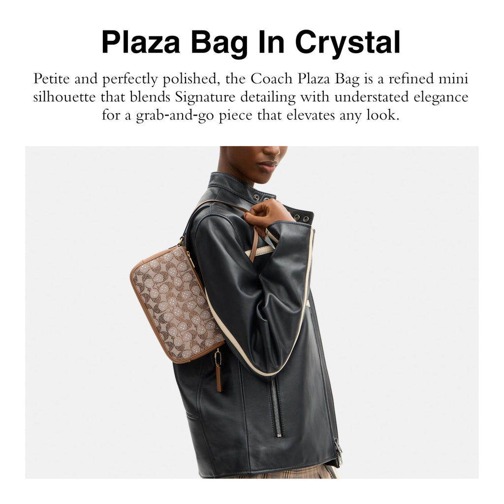 COACH Plaza Bag