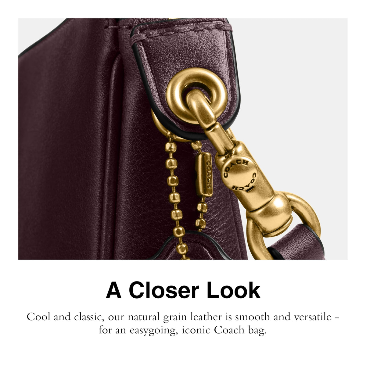 COACH Plaza Bag