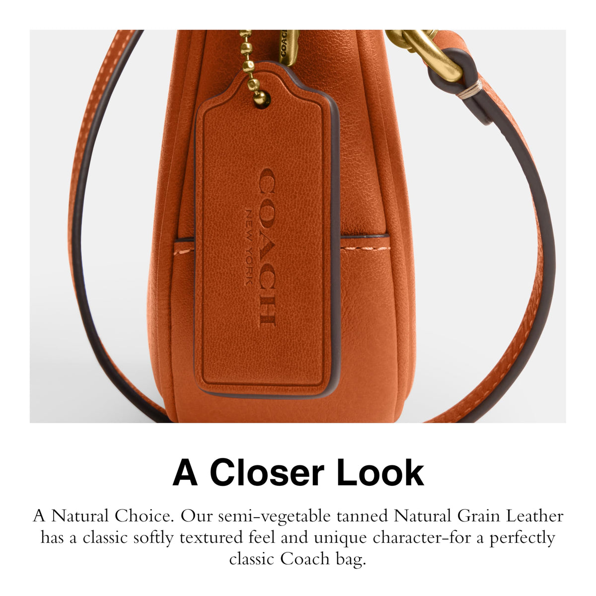 COACH Plaza Bag