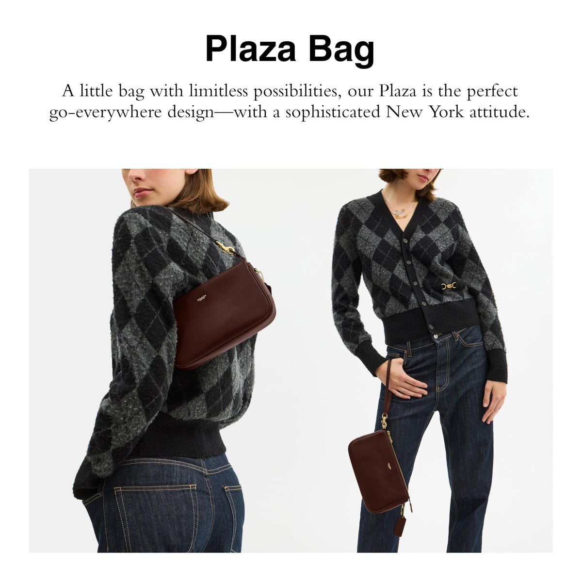 COACH Plaza Bag