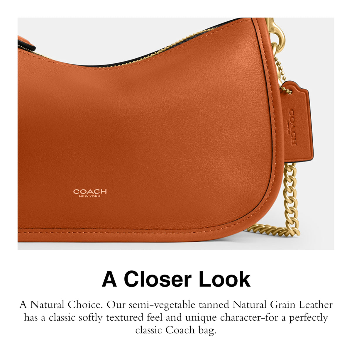 Coach Waverly Bag